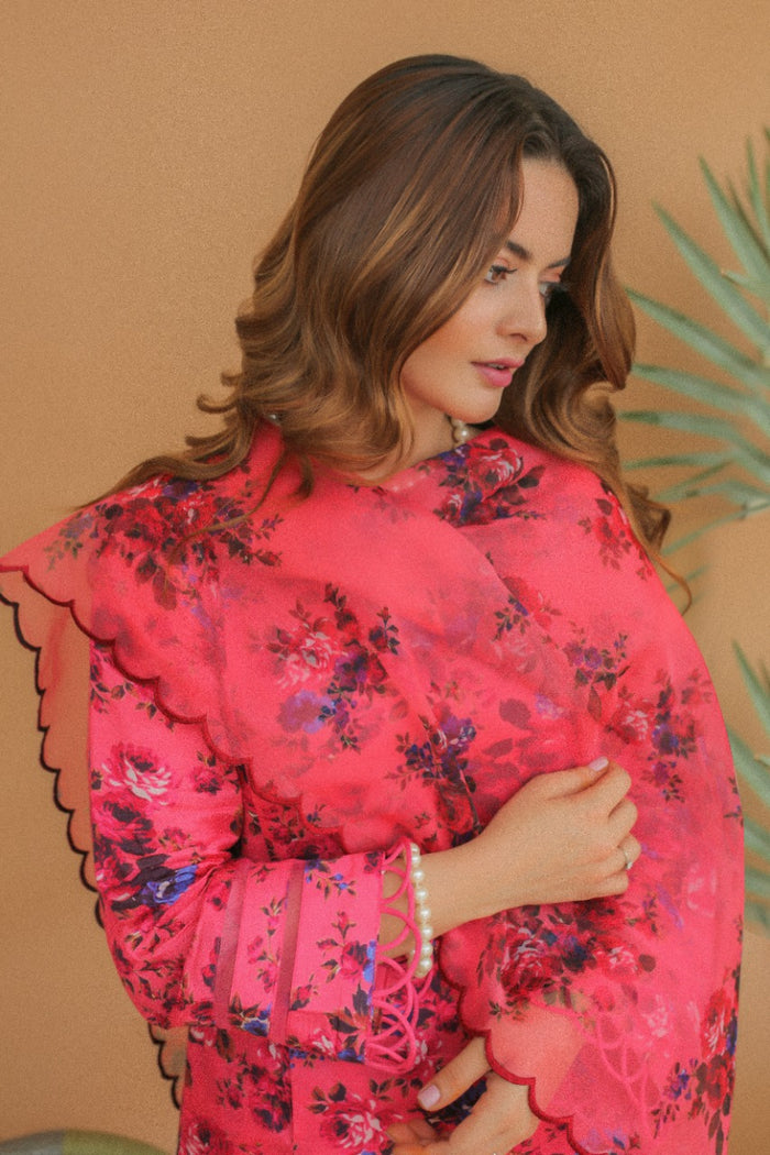 Fuchsia - Aiman Minal Closet